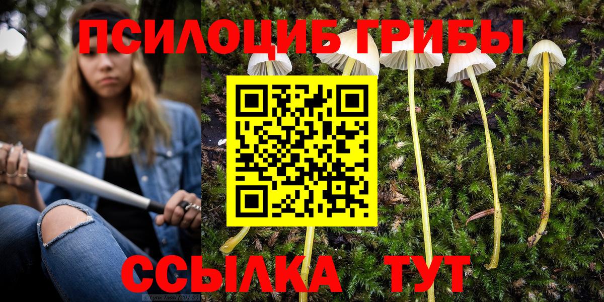 Тимашёвск  Галлюциногенные грибы MAGIC MUSHROOMS  Вход с VPN 
